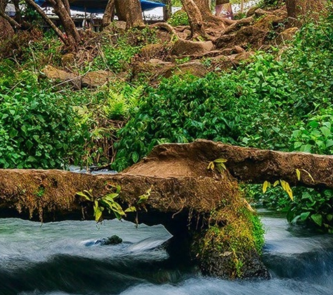 粉象生活和每日一淘对比