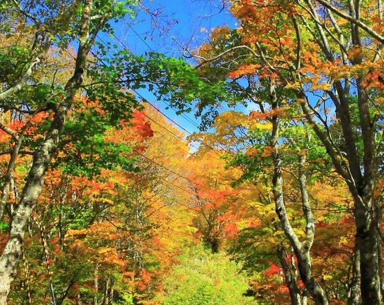 粉象预估收益为什么提现不了