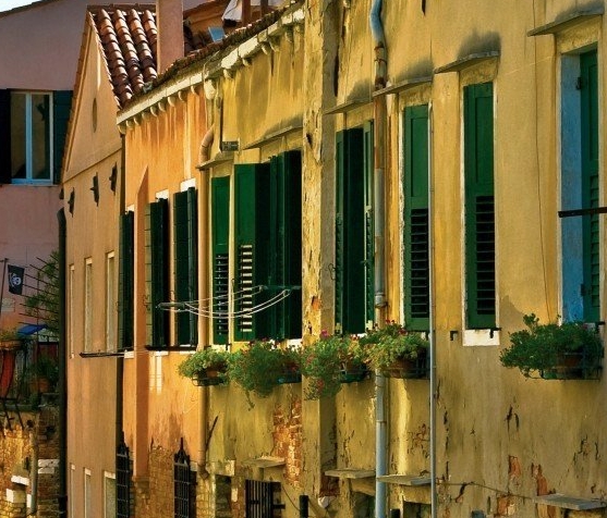 粉象生活下载app