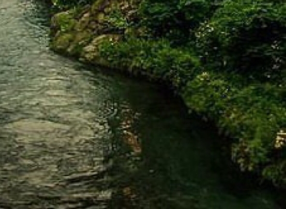 文章约好的生活