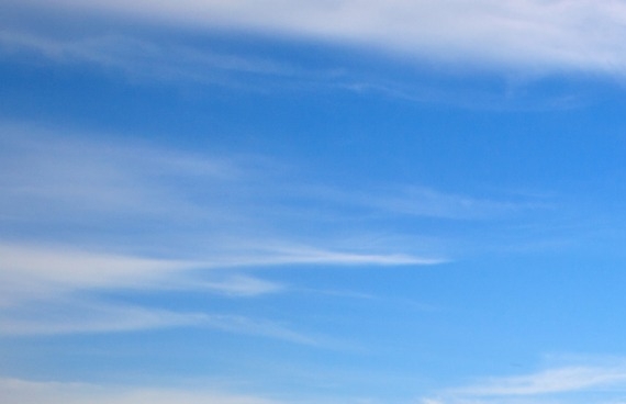 粉象生活什么时候开始推广的