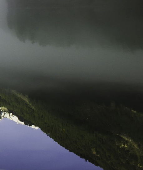 粉象生活赚钱看视频答案