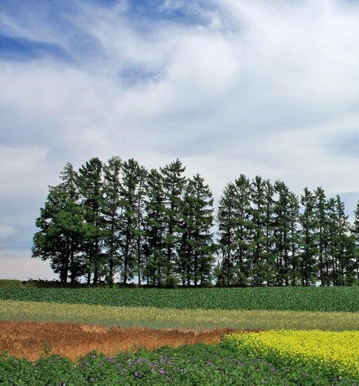 粉象生活手机app