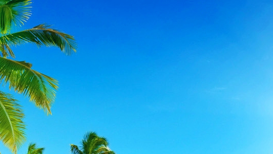 粉象生活卖手机可以吗