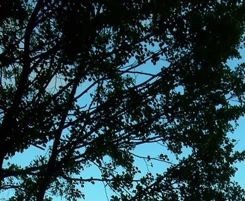 粉象生活副业平台粉象生活