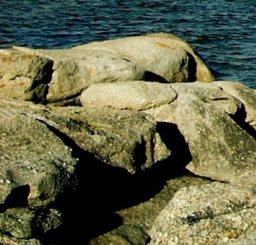 粉象世界app官方下载