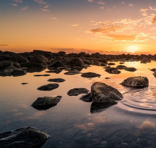 常德粉象生活代理