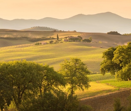 粉象生活平台是干嘛的