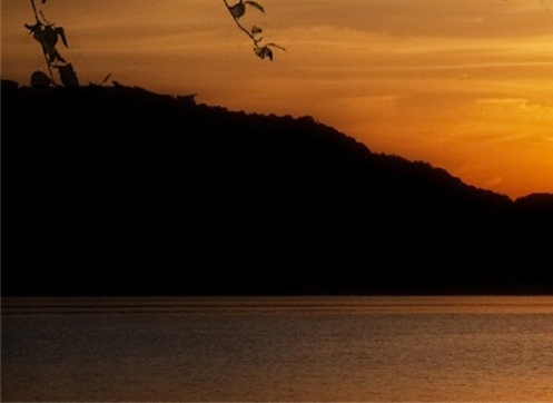 做粉象生活靠谱吗