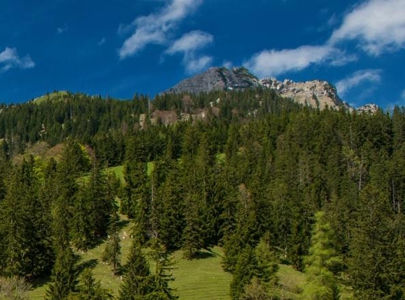 粉象生活邀请码