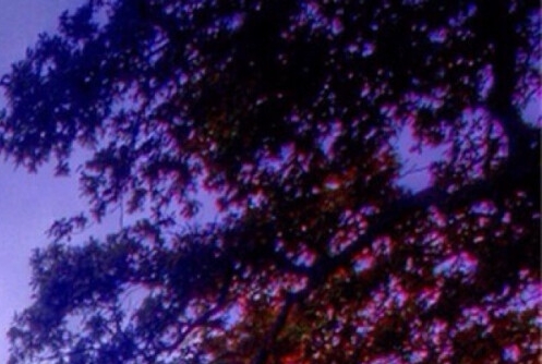 粉象生活图片图库