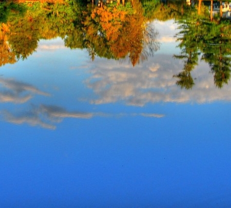粉象生活完成注册