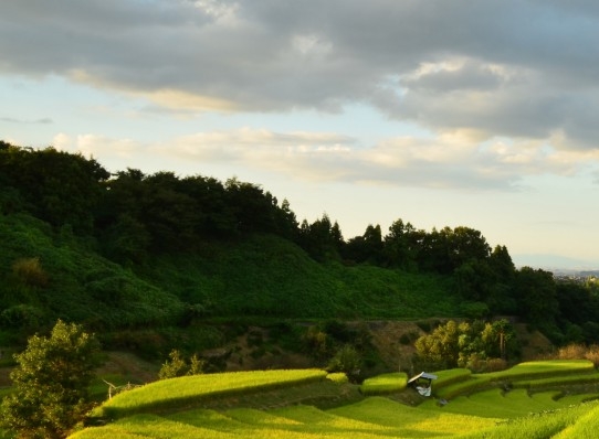 粉象生活到底靠谱吗