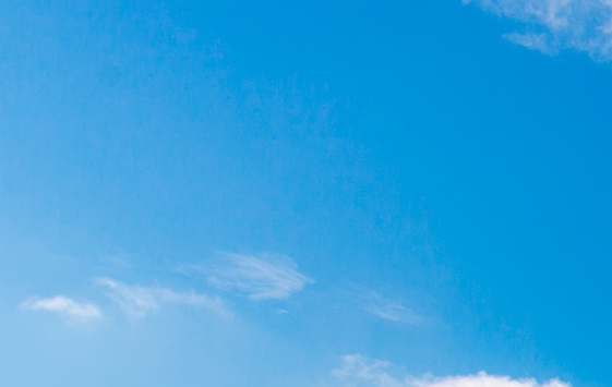 粉象生活新人看视频四个字