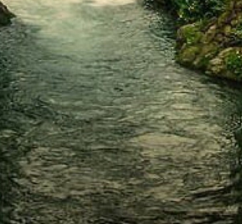 粉象生活里面怎么加油