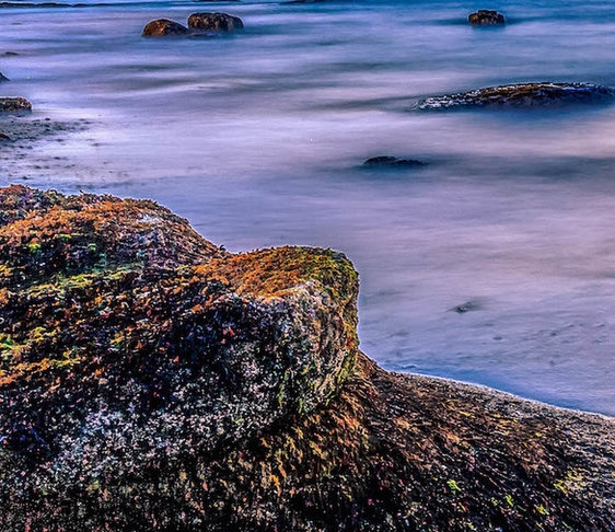 粉象生活如何设置首页