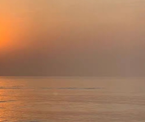 粉象生活官网app下载