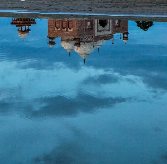 粉象生活下载app