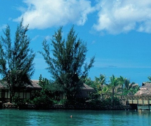 粉象生活邀请码