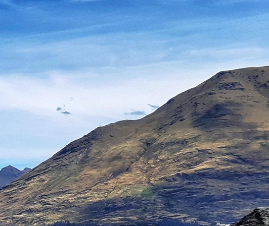 粉象生活下载app