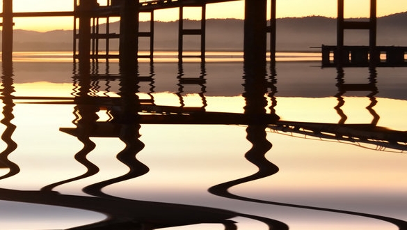 生活中电动是如何启动的