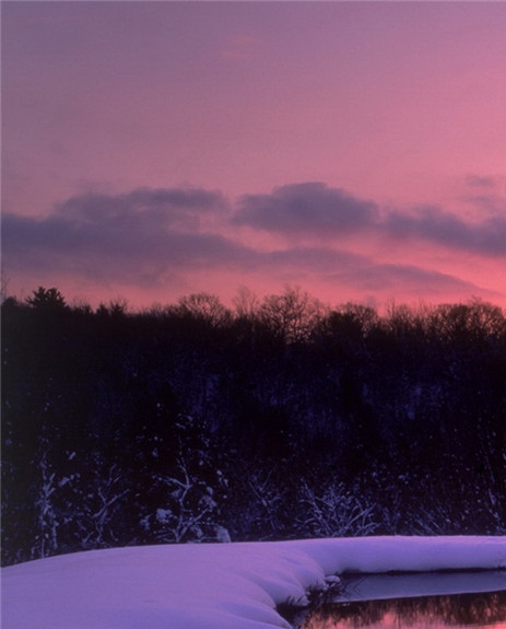 粉象生活新手怎么做