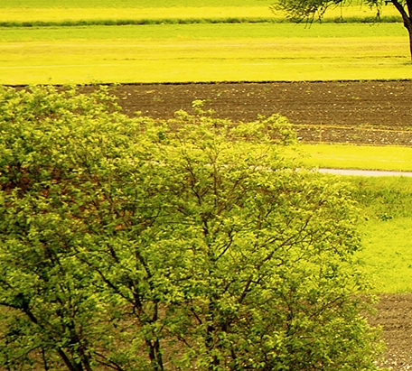 粉象生活怎么赚钱教程