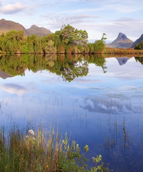 粉象生活招聘引流