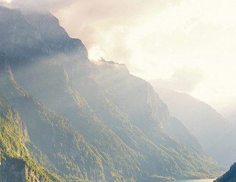 粉象生活加咸鱼