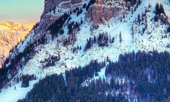 粉象生活没有直播了吗