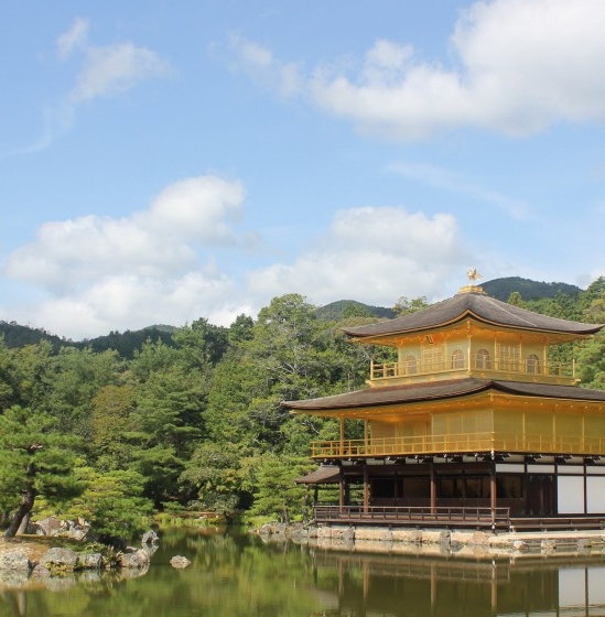 粉象生活市场定位