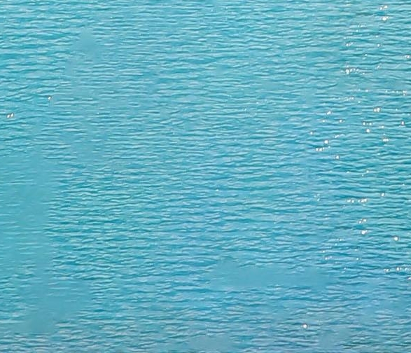 上海粉象生活app