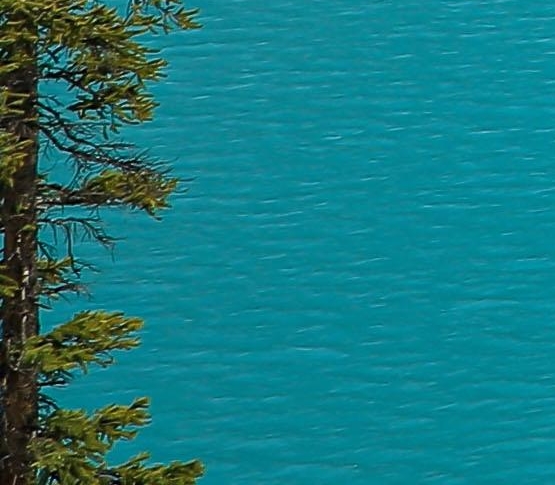 厦门粉象生活图片