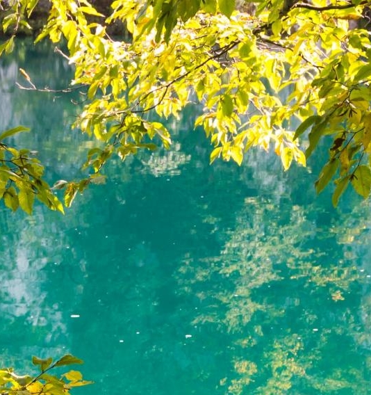 粉丝福利购和粉象