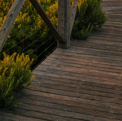 粉象生活可以做代理吗