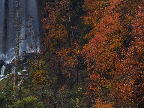 粉象生活有没有流量