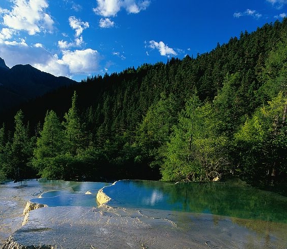 粉象生活加班攻略