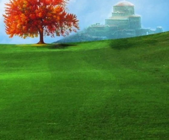 闲鱼怎么引流推广粉象生活