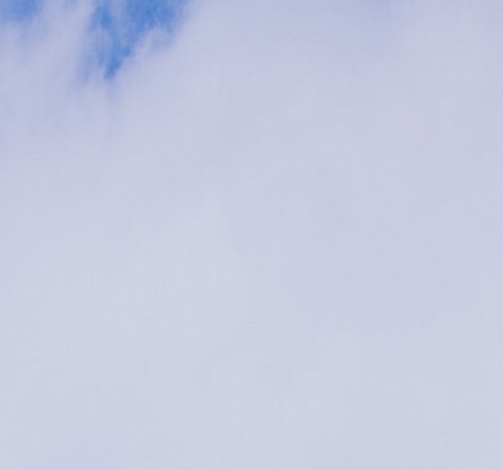 粉象生活为什么要20个合伙人