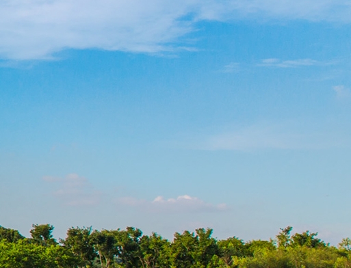 粉象生活推广秘诀