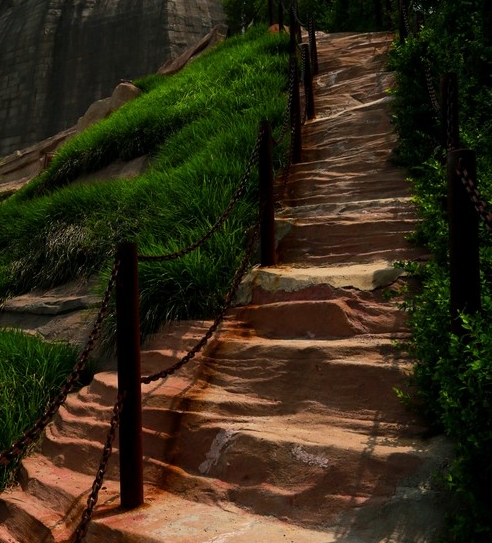 今日粉象生活下单