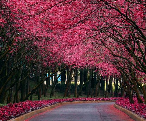 遵义看守所生活规定