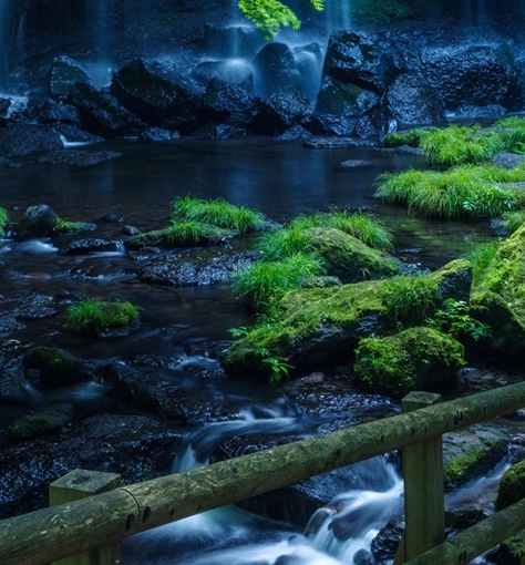 粉象生活泄露隐私