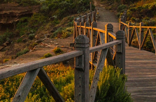 粉象生活下载官方正版