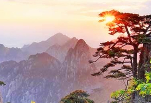 粉象生活骗局大揭秘