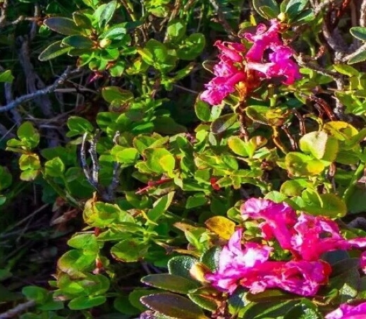 潮荟133生活广场