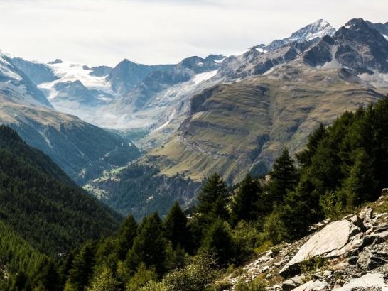 粉象生活靠谱不