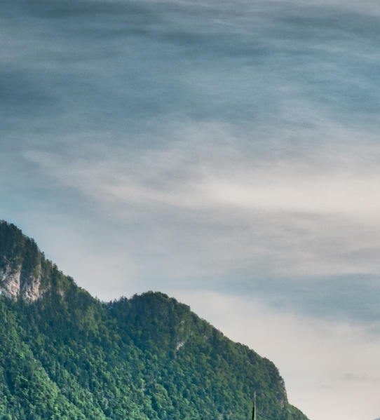 巢湖粉象生活推广