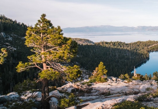 粉象生活是什么样的平台