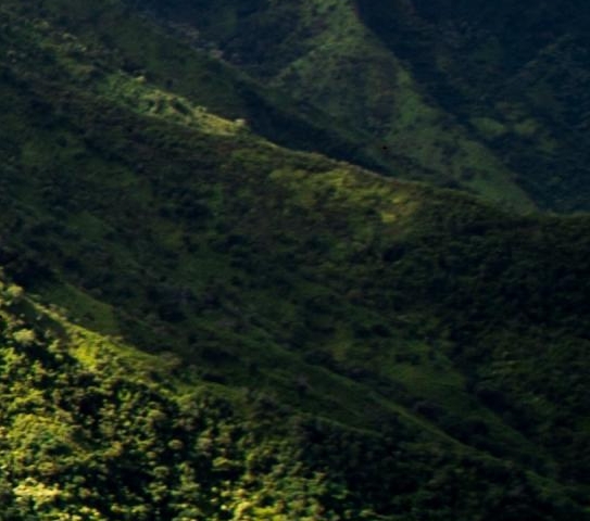 加入粉象生活的人